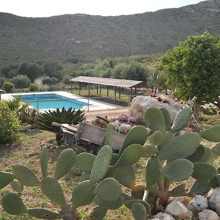 Agriturismo Timpa Del Sole Villa Noto Bagian luar foto